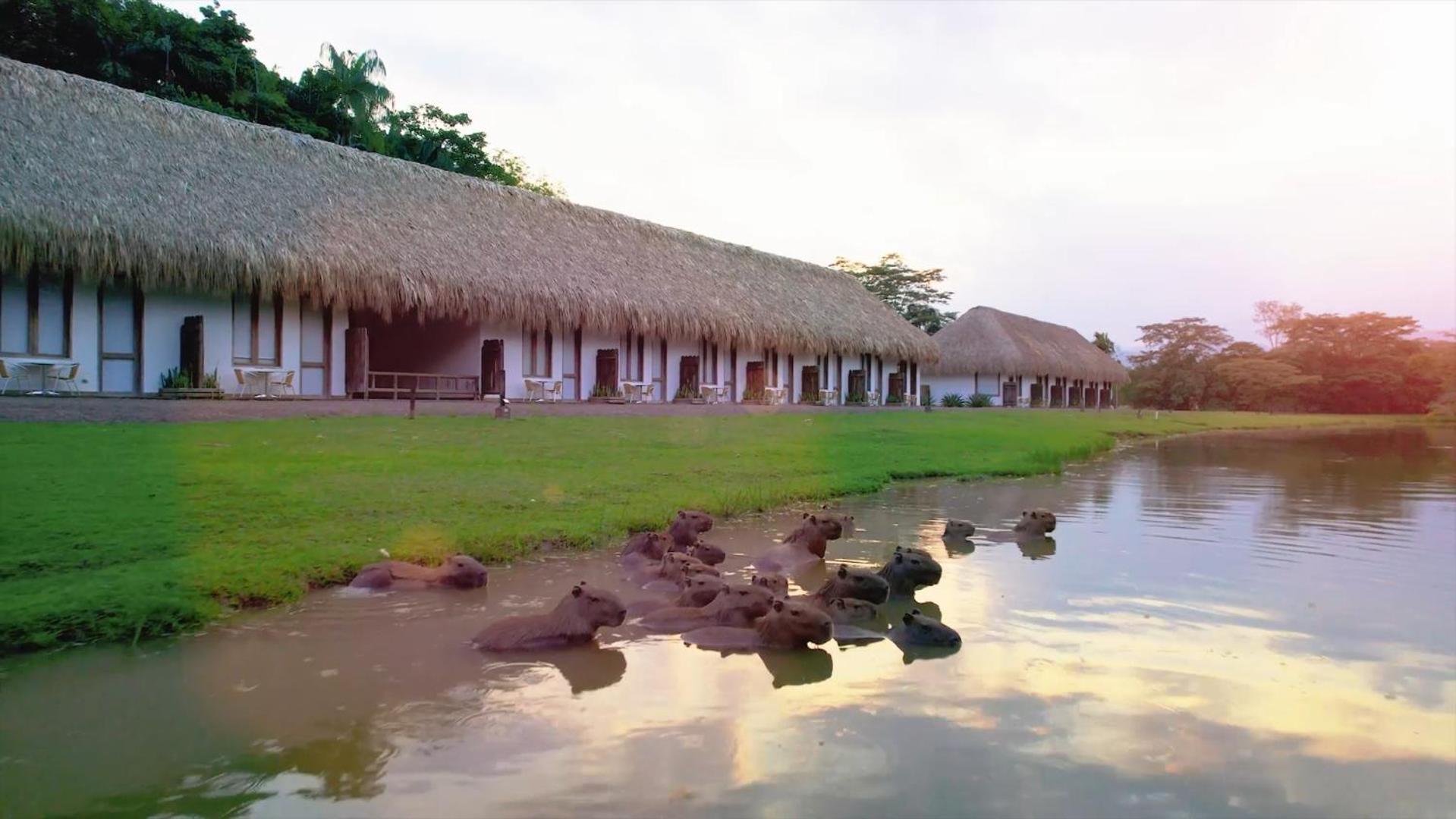 Hotel Hacienda Palo a Pique La Palmera Exterior foto